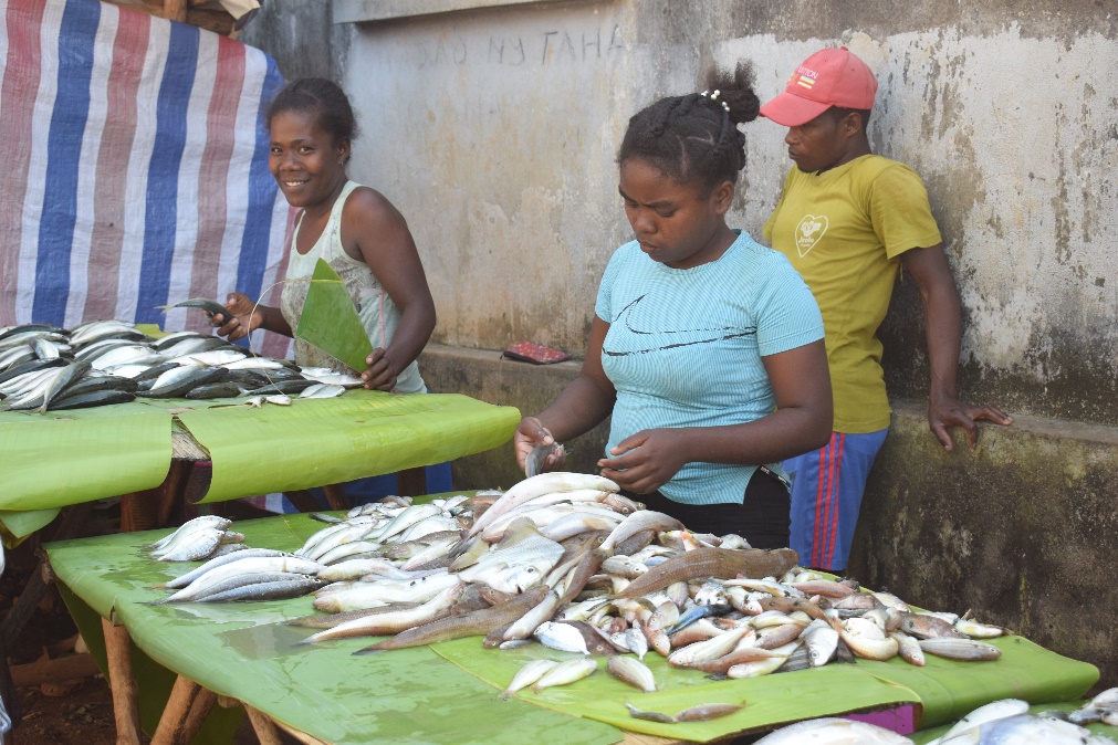 Vente locale de poissons à Analanjirofo